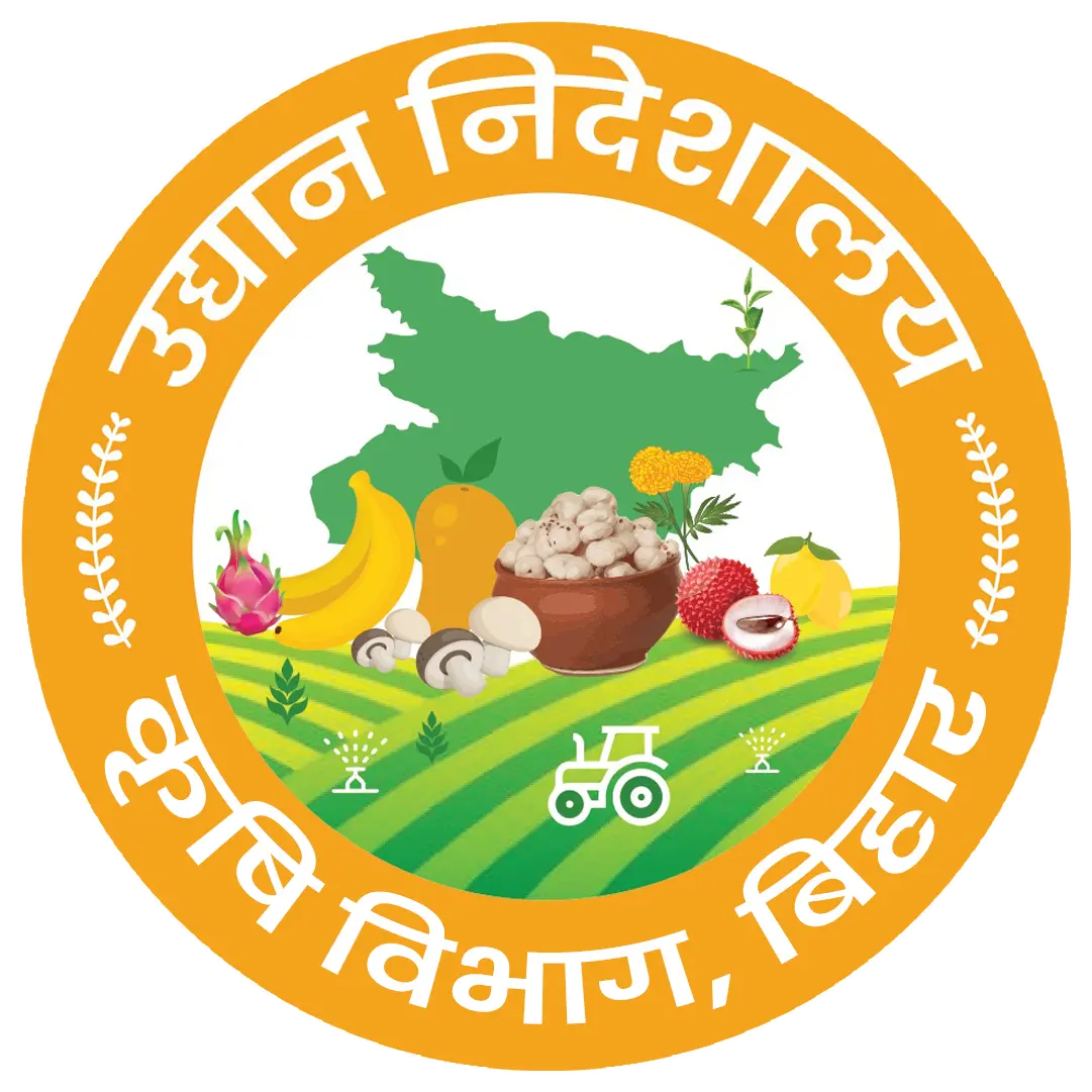 Directorate Logo